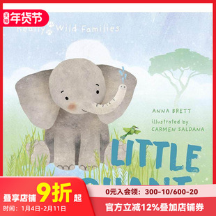 【现货】小象的一天 Little Elephant 【Really Wild Families】 进口原版英文儿童绘本 善本图书