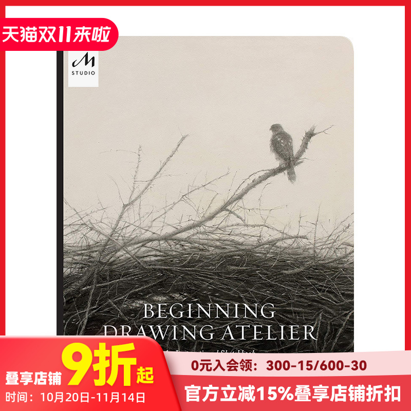 初学者画室教学画册英文艺术