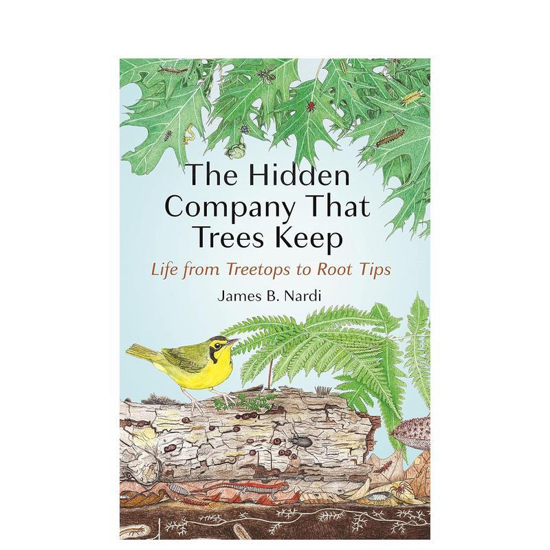 树的隐伴：从树梢到根尖的生命