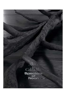 【预售】阿罗拉 & 卡尔萨迪拉 正午幽灵 Allora & Calzadilla Specters of Noon 原版英文艺术画册画集 善本图书