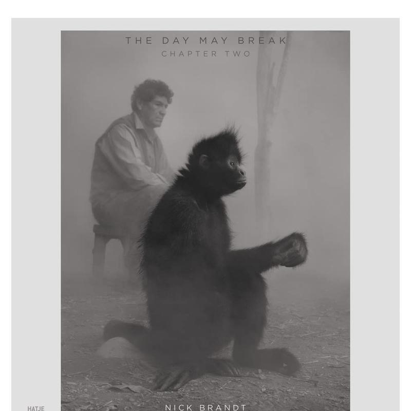 【预售】尼克·勃兰特：黎明破晓前 Nick Brandt The Day May Break 进口原版英文摄影集艺术 善本图书