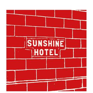 阳光酒店 Mitch 原版 预售 英文摄影作品集 Hotel 米奇·爱泼斯坦 Sunshine Epstein
