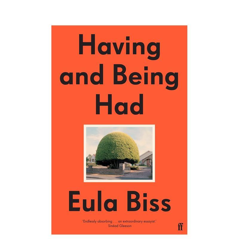 拥有与被拥有 Having a