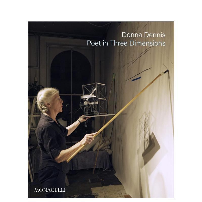 【预售】装置艺术家Donna Dennis：三维空间诗人 Donna Dennis: Poet in Three Dimensions 原版英文艺术画册画集 - 实物图