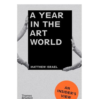 【预售】艺术世界的一年 A Year in the Art World: An Insider's View 原版英文艺术画册画集 善本图书