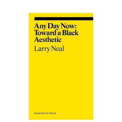 【预售】随时随地： 走向黑色美学 【Ekphrasis】Any Day Now: Toward A Black Aesthetic 原版英文艺术画册画集 善本图书