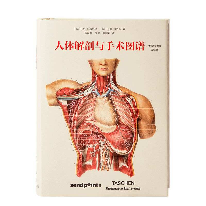 人体解剖与手术图谱实用解剖图谱