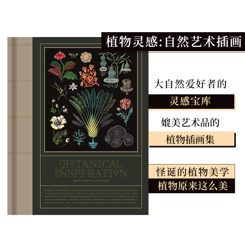 灵感自然艺术插画英文