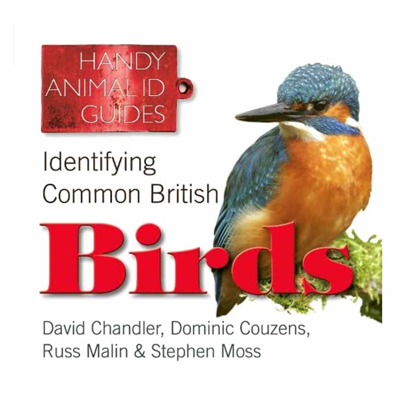 【现货】Identifying Common British Birds，识别常见的英国鸟类 图书籍进口正版 David Chandler|Russ Malin 生活综合