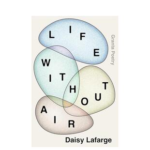 【预售】生活没有空气Life Without Air 入围2020年TS艾略特诗歌奖 治愈诗歌散文集 英文原版 善本图书