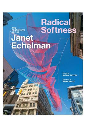 【预售】激进柔软论 Radical Softness 原版英文艺术画册画集