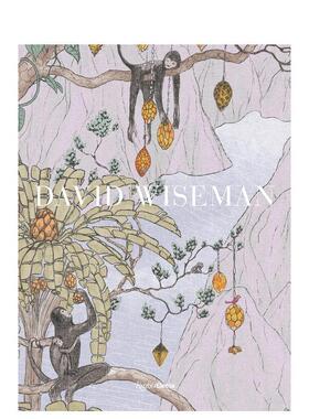 【现货】David Wiseman 大卫·怀斯曼 美国设计师 英文原版