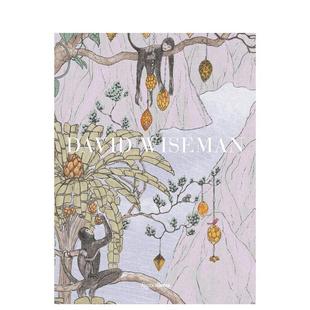 【现货】David Wiseman 大卫·怀斯曼 美国设计师 英文原版
