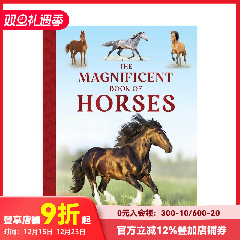 骏马奇观录 Magnifice