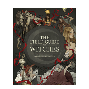 善本图书 女巫概念设计指南 英文插画原画设定集艺术 进口原版 Witches Guide Field The 现货