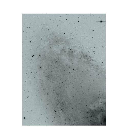 弗洛瑞安&middot;施瓦茨 Floria