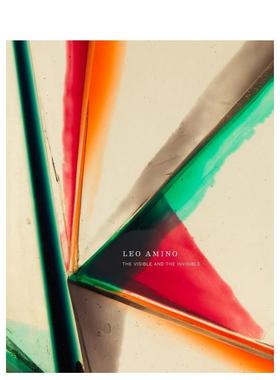 【现货】日裔美国艺术家Leo Amino：可见与不可见 Leo Amino: The Visible and the Invisible 原版英文艺术画册画集