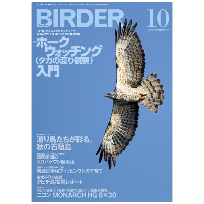 【订阅】BIRDER鸟类飞禽杂志日本日文原版年订12期 F085 善本图书