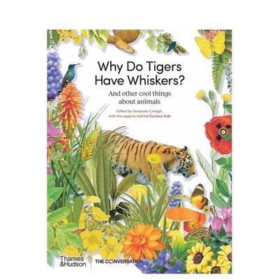 【现货】为什么老虎有胡须？ Why Do Tigers Have Whiskers? T&H 英文原版进口儿童绘本知识启蒙 善本图书