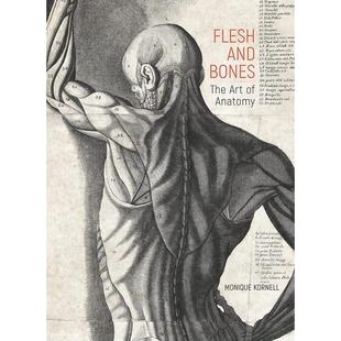 The 现货 and Art 原版 艺术 Anatomy 肉体与骨骼：解剖学 英文艺术画册画集 Flesh Bones
