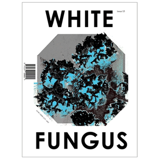 【订阅】 White Fungus银耳 前卫艺术杂志 台湾台中英文原版 年订1期 A112 善本图书