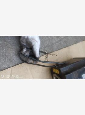 P60C15150DXD20，P60C1515议价商品