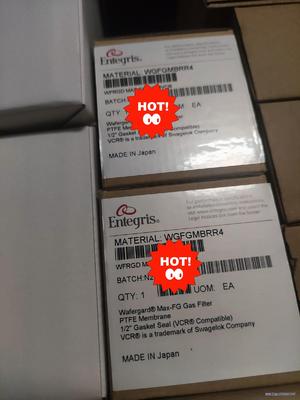 美国英特格过滤器，ENTERGRIS，WGFGMBRR4，全议价商品