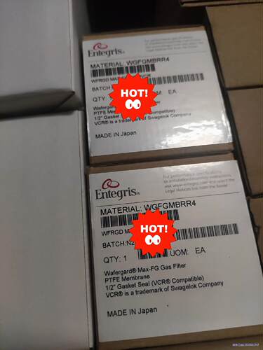 美国英特格过滤器，ENTERGRIS，WGFGMBRR4，全议价商品