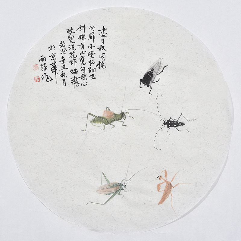 纯手绘虫趣图秋叶鸣蝉蟋蟀蝈蝈虫草图客厅儿童房装饰字画手工画