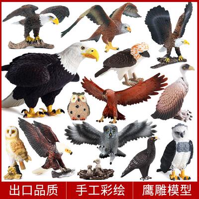 儿童仿真老鹰玩具猫头鹰海雀秃鹫鱼鹰海角雕鸟类野生动物模型摆件