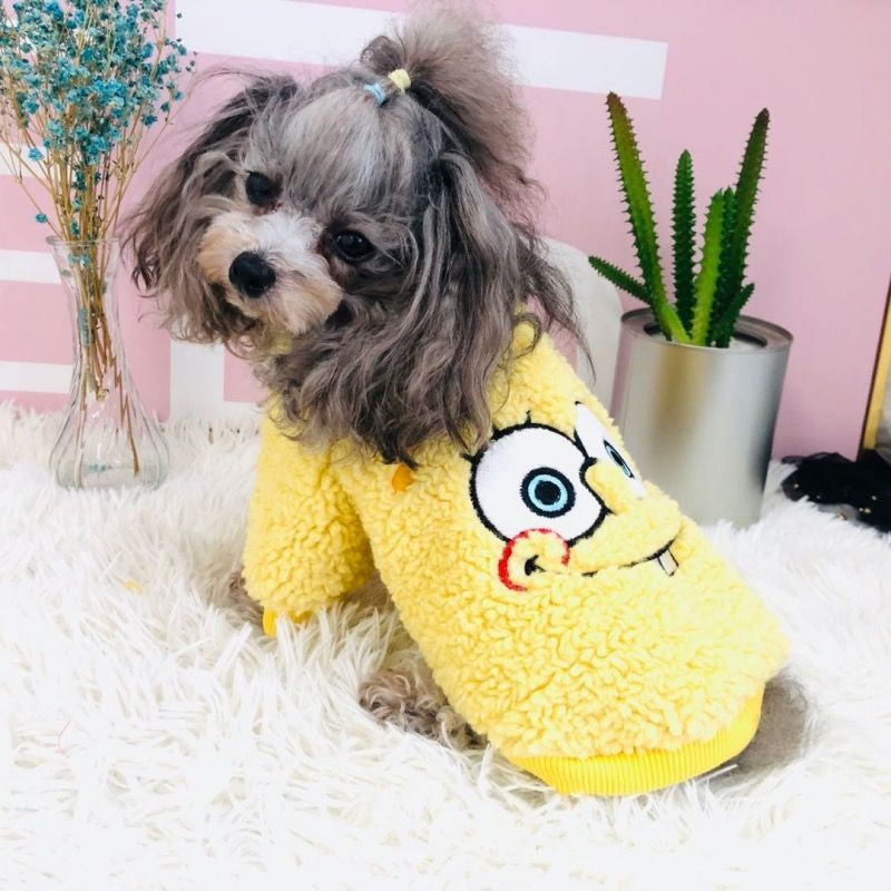 2025新款狗狗衣服秋冬小型犬雪纳瑞泰迪比熊宠物保暖加绒两脚卫衣