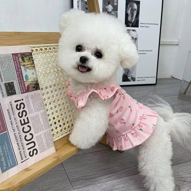 宠物狗狗衣服薄款透气吊带背心