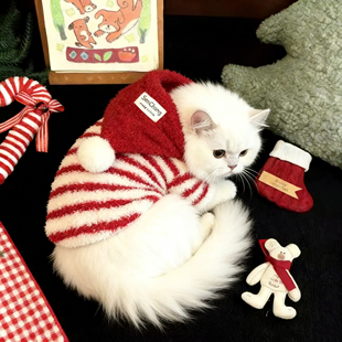 秋冬新年可爱猫咪衣服冬季红色过年布偶英短幼猫保暖连帽加绒背心