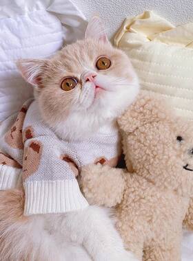 冬天ins宠物猫咪衣服秋冬季保暖可爱加菲猫银渐层蓝猫布偶猫毛衣