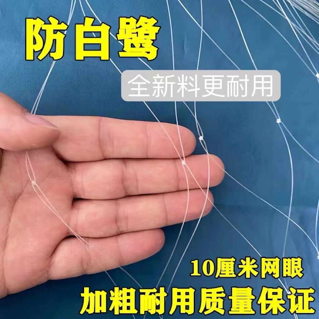 鱼塘养殖防鸟网尼龙大网孔防鸟网