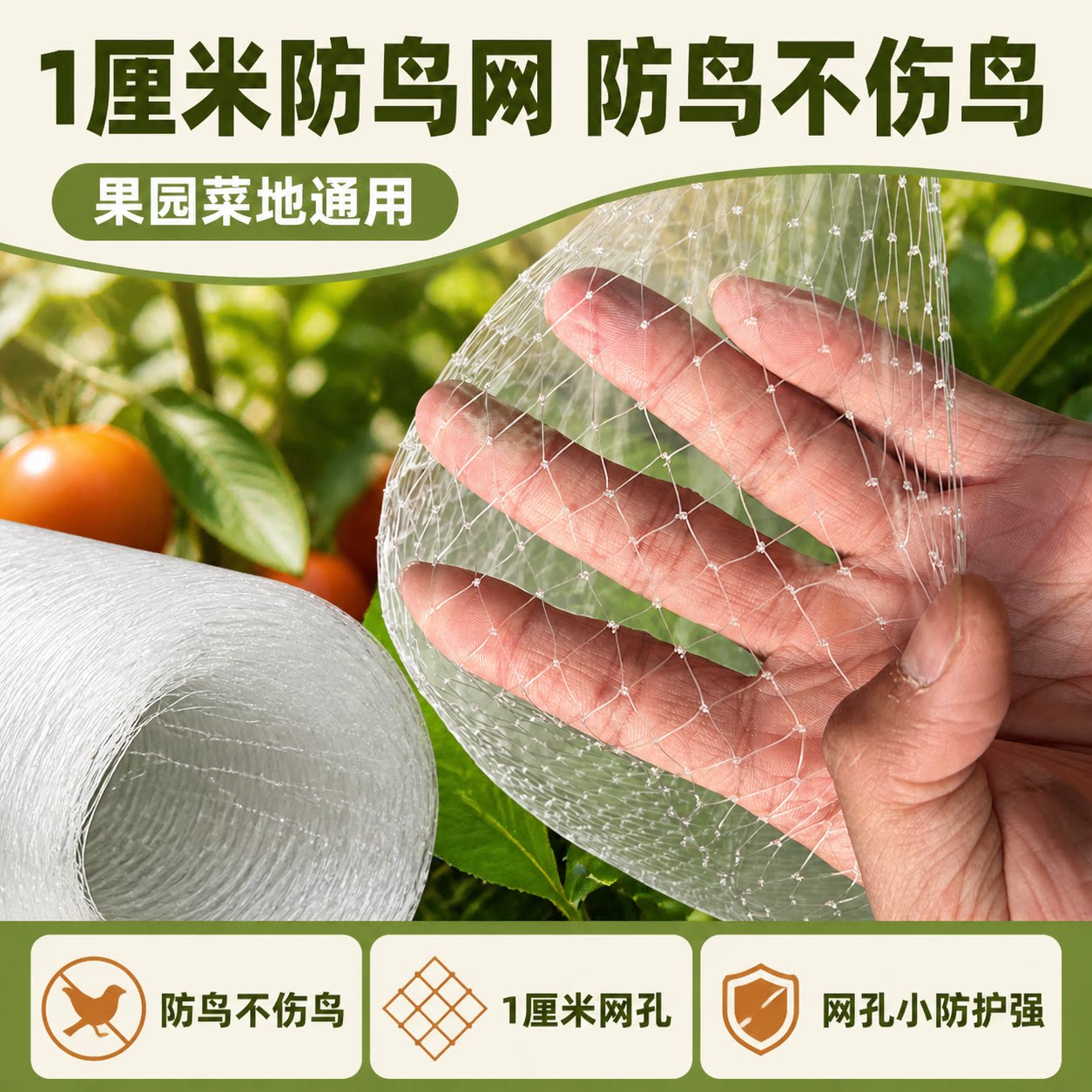 小网孔防鸟网果树果园防蝴蝶