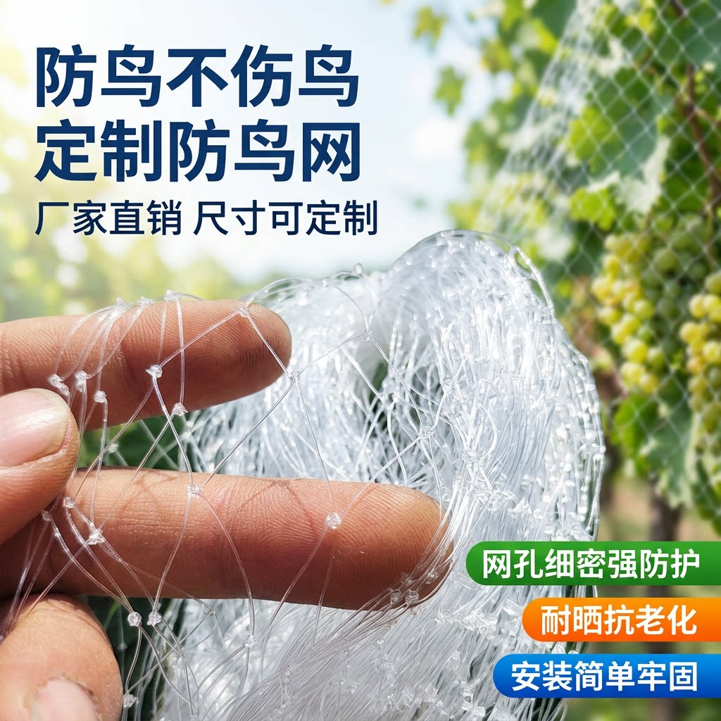 防鸟网尼龙果园大棚防鸟用网