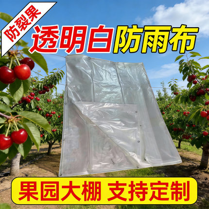 樱桃白色防雨布防晒户外大棚定制防水布大棚布农用薄膜车厘子雨布