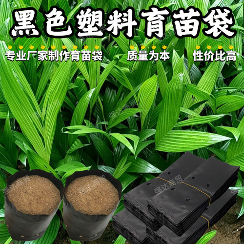 一次性百香果番石榴农用花盆