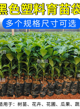 咖啡育苗袋茶树育苗袋桉树营养袋黑色加厚种植袋苗圃茉莉育苗袋子