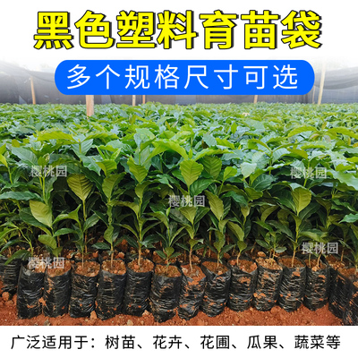 咖啡育苗袋茶树育苗袋桉树营养袋黑色加厚种植袋苗圃茉莉育苗袋子