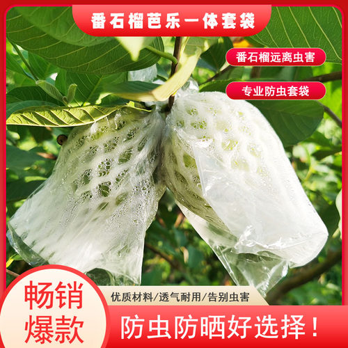 番石榴防虫套袋一体袋芭乐专用网套袋水果防虫袋石榴网套袋透气袋