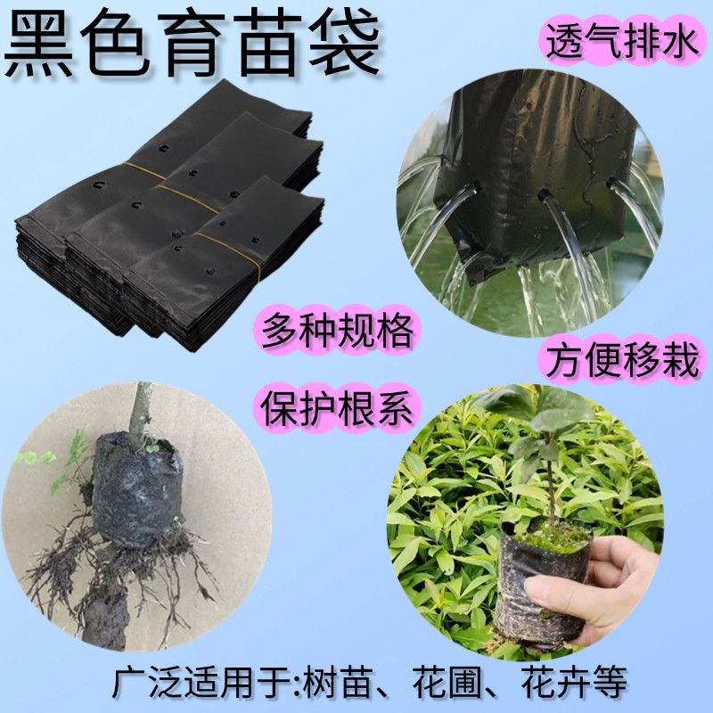 沉香育苗袋加厚营养袋桉树塑料营养袋槟榔培育西瓜果树种植袋子