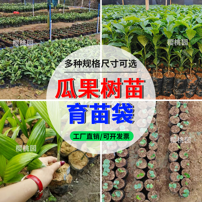 咖啡育苗袋茶树育苗袋桉树营养袋黑色加厚种植袋苗圃茉莉育苗袋子