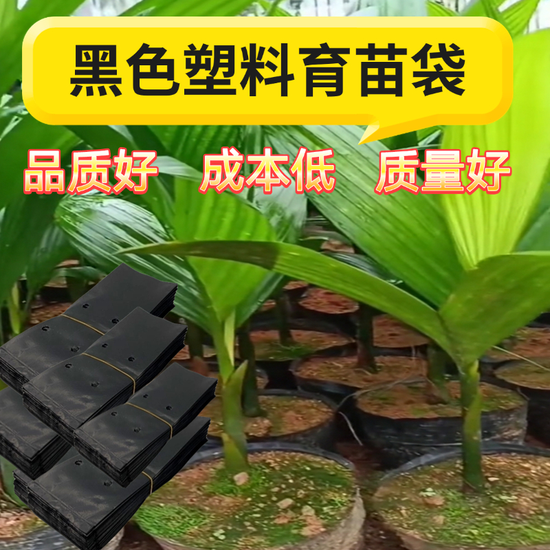 育苗袋桉树水果育苗袋槟榔营养袋黑色一次性加厚种植袋树苗营养袋
