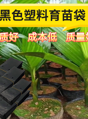 育苗袋桉树水果育苗袋槟榔营养袋黑色一次性加厚种植袋树苗营养袋