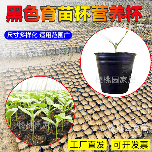 营养槟榔一次性养花塑料杯黑色花盆加厚塑料育苗西瓜细苗种花专用