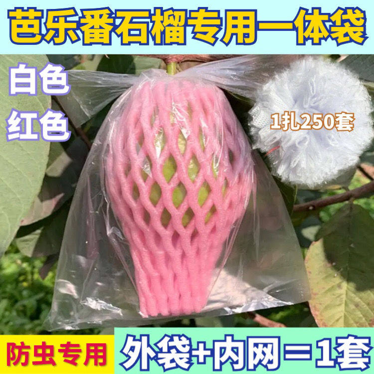 芭乐防虫袋番石榴网套袋水果专用保护袋特厚款番石榴泡沫一体网袋