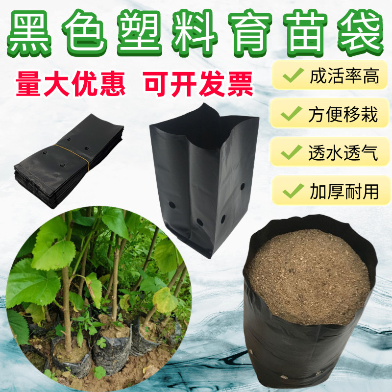 育苗袋槟榔加厚营养袋百香果橘子营养袋咖啡育苗袋果树育苗塑料袋
