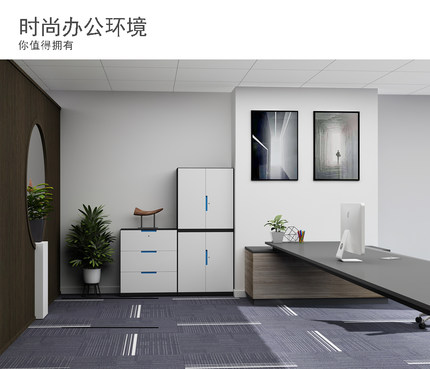 【工厂直供】钢制带锁办公快捞文件柜卡箱立式档案柜无异味可定制